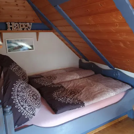 Friesenkaet *