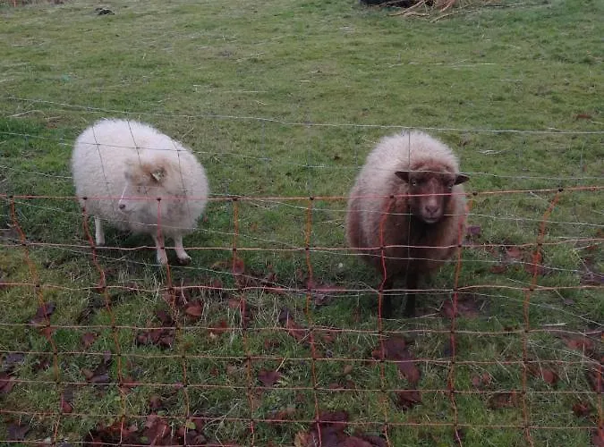 Friesenkaet Casa de hóspedes Schillig